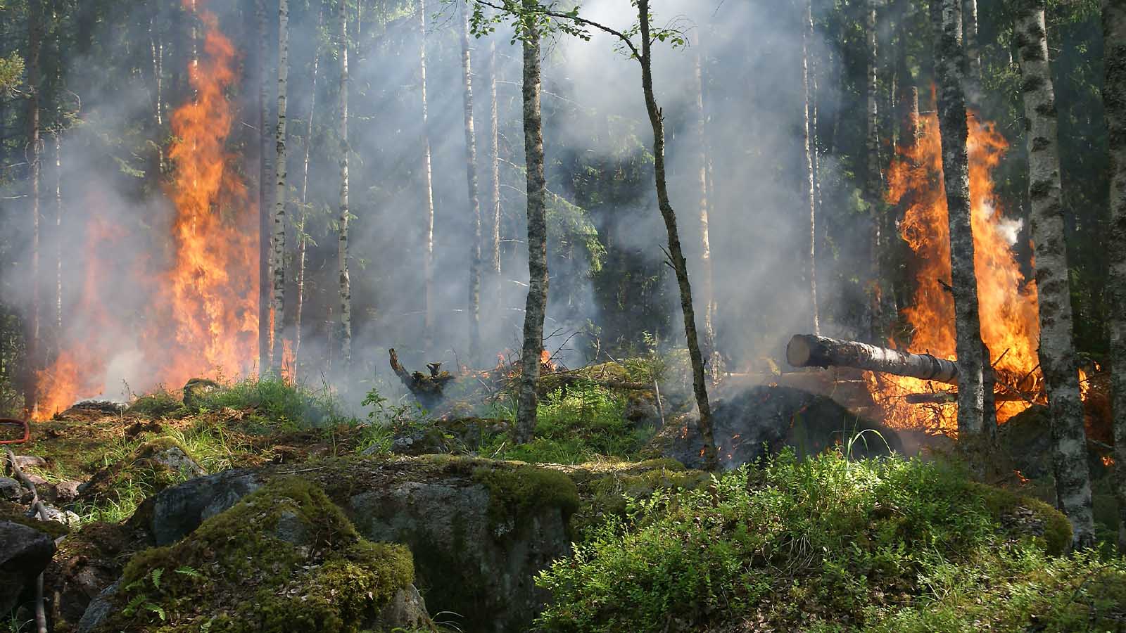 CALIFORNIA WILDFIRE PRAYER ALERT 1.0