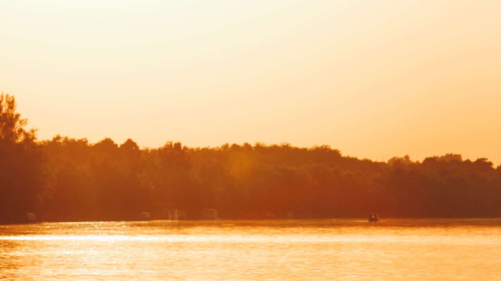 RIVER OF GOLD IN REDDING