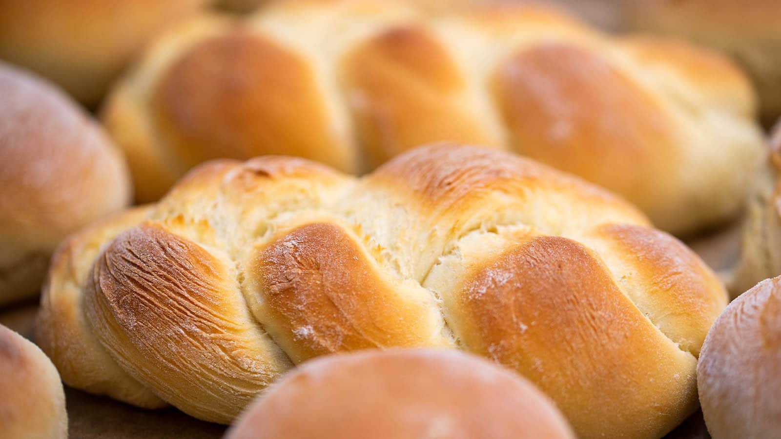Shabbat Thanksgiving