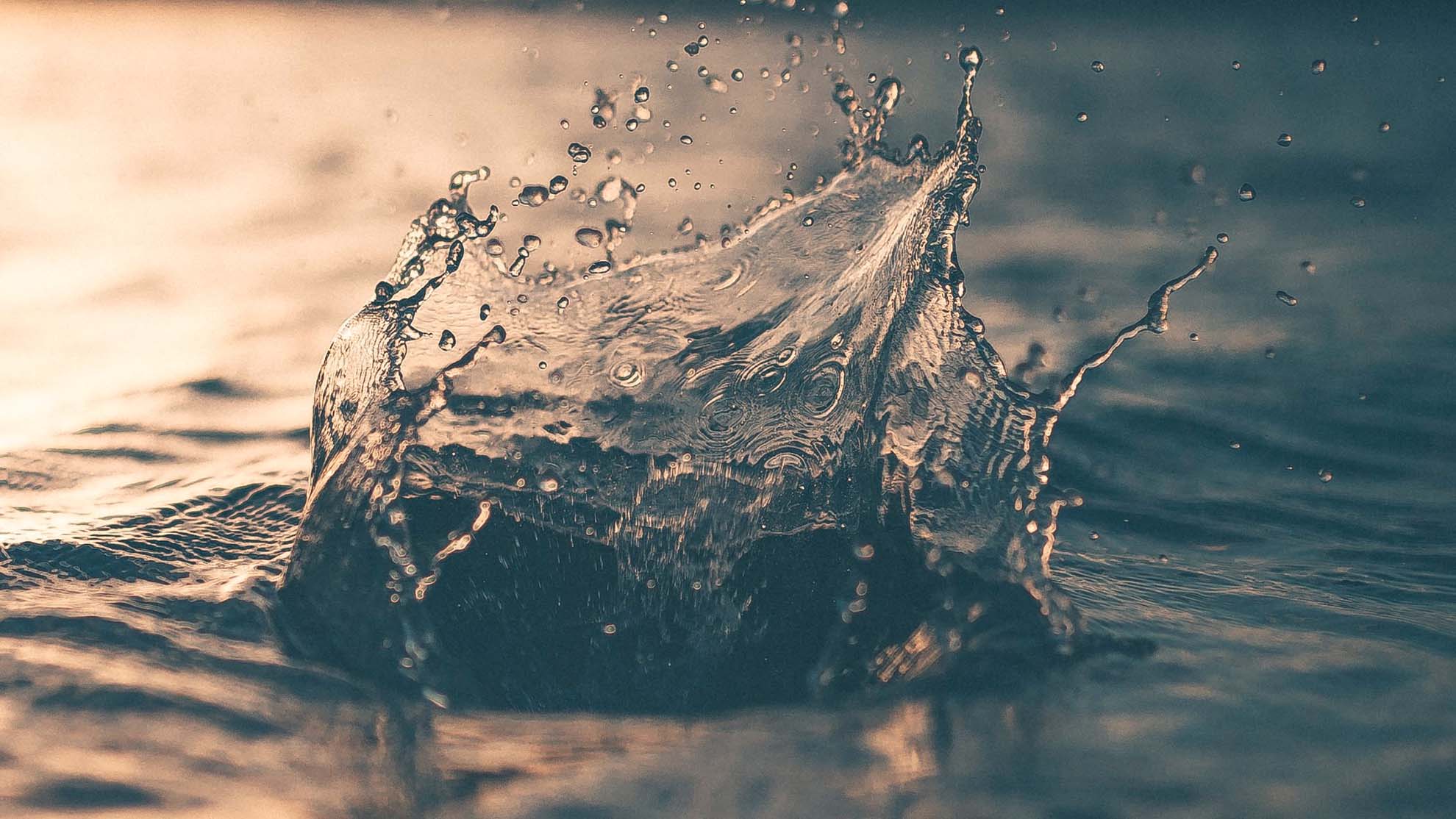 The Shabbat of the Waters of Salvation
